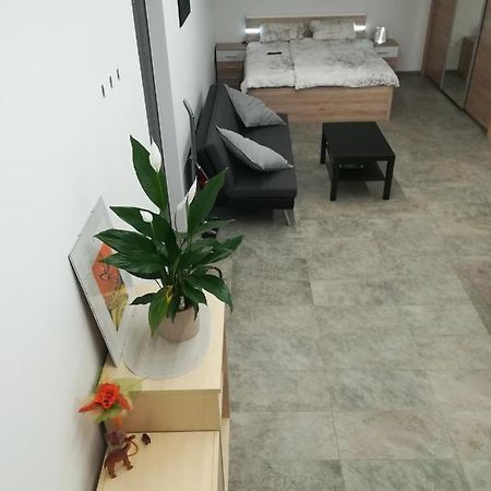 Place Near Casino Mond - Apartma Urska 셴틸 외부 사진