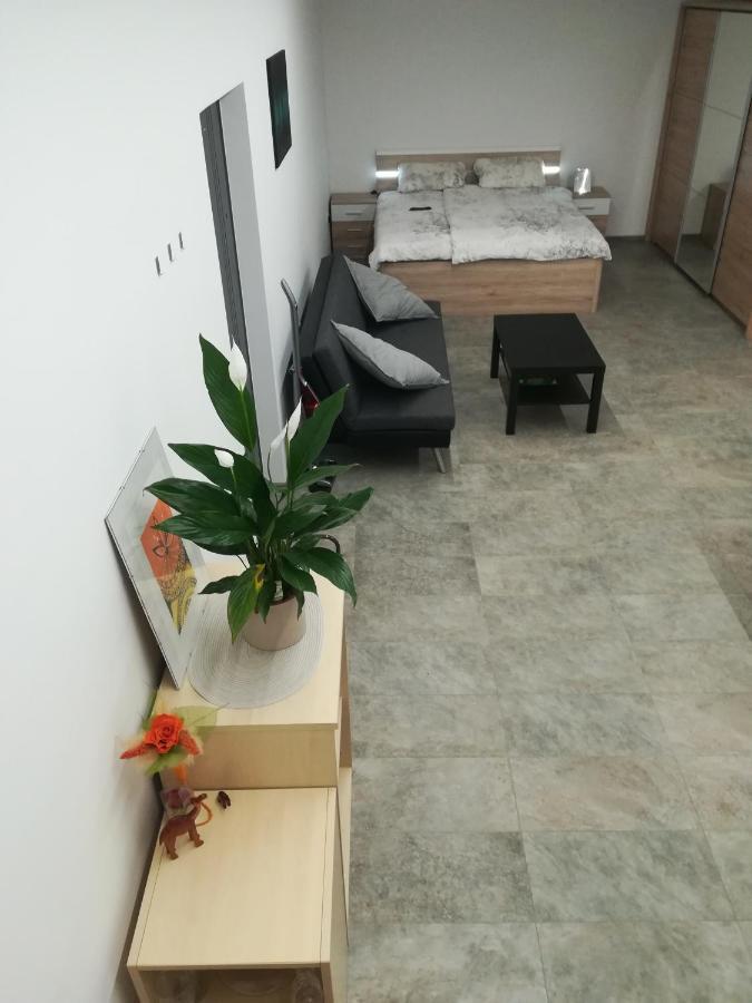 Place Near Casino Mond - Apartma Urska 셴틸 외부 사진